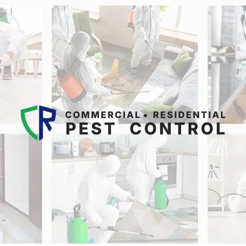 CR Pest Control Achieved Top Map Rankings and Boosted Conversions