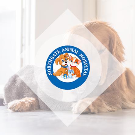 1,600+ Leads in 12+ Months for Northgate Animal Hospital